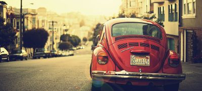 Natural Inspiration for Your Next Creative Project