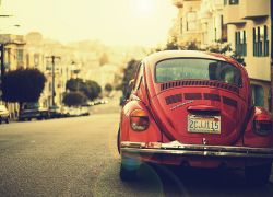 Natural Inspiration for Your Next Creative Project