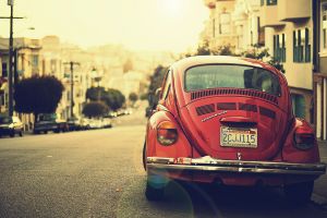 Natural Inspiration for Your Next Creative Project