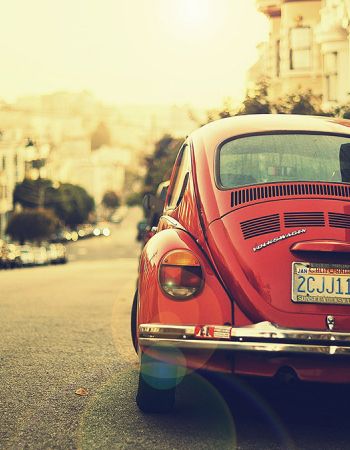 Natural Inspiration for Your Next Creative Project
