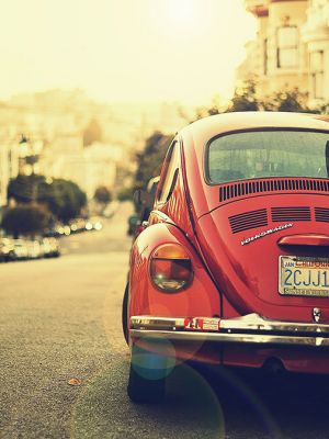 Natural Inspiration for Your Next Creative Project