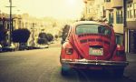 Natural Inspiration for Your Next Creative Project