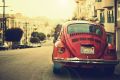 Natural Inspiration for Your Next Creative Project