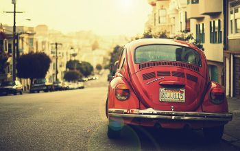 Natural Inspiration for Your Next Creative Project