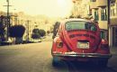 Natural Inspiration for Your Next Creative Project