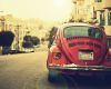 Natural Inspiration for Your Next Creative Project