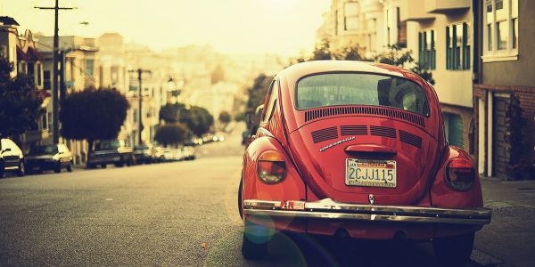 Natural Inspiration for Your Next Creative Project