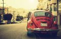 Natural Inspiration for Your Next Creative Project