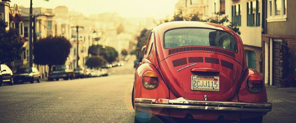 Natural Inspiration for Your Next Creative Project