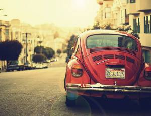 Natural Inspiration for Your Next Creative Project
