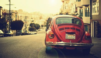 Natural Inspiration for Your Next Creative Project
