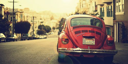 Natural Inspiration for Your Next Creative Project