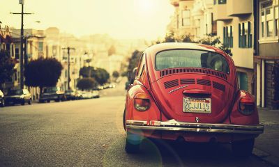 Natural Inspiration for Your Next Creative Project