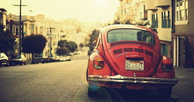 Natural Inspiration for Your Next Creative Project